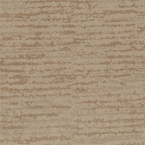 Room Scene of Enduring Truth - Carpet by Shaw Flooring