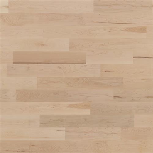 Silenzio - Hard Maple