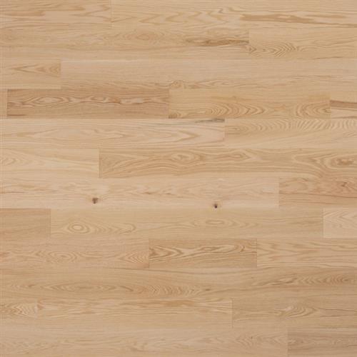 Silenzio - Red Oak