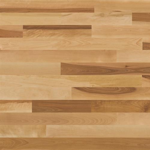 Essential Collection Solid in Natural Yellow Birch 3.25 - Hardwood by Lauzon