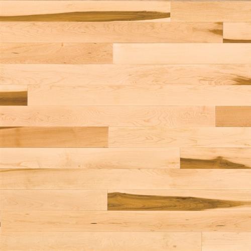 Essential Collection Engineered Expert in Natural Hard Maple Tradition 5.187 - Hardwood by Lauzon