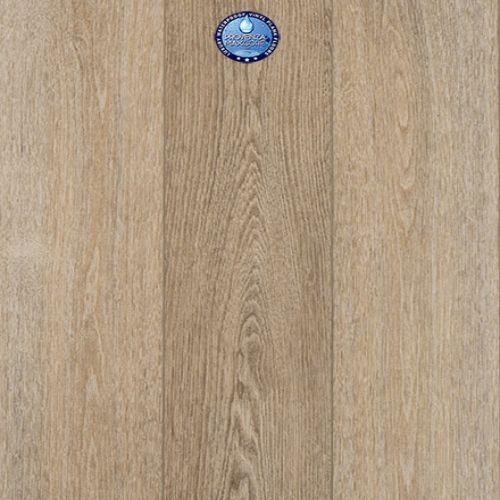 Concorde Oak Spellbound