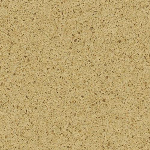 Cambrian Gold