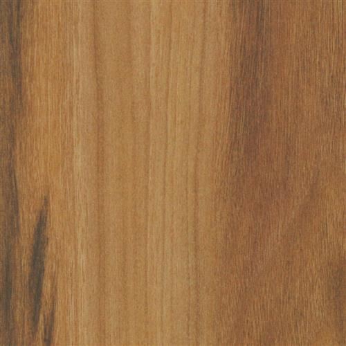 Coast Walnut