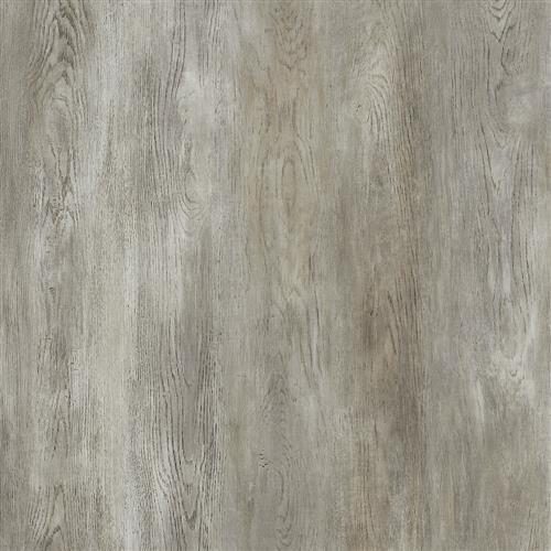 Iced Timber Oak