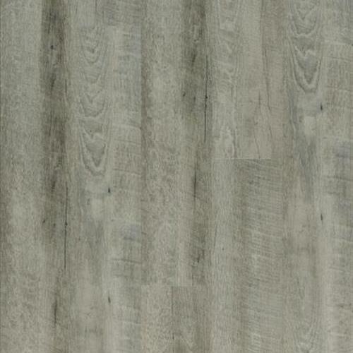 Xpr - Parkay Laguna by Parkay Floors - Silver Shell