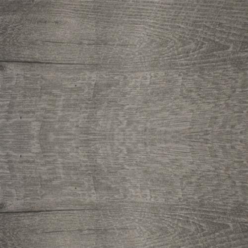 Oyster Gray
