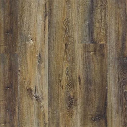 Bahamas Oak