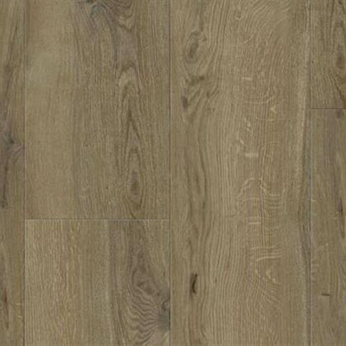 Hydrana Gyant Dark Brown