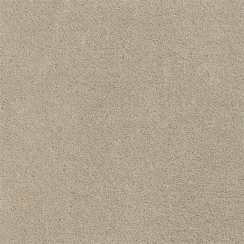 Room Scene of Royal Velour - Carpet by Couristan