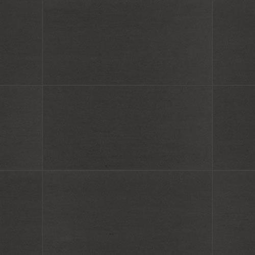 Venetian Architectural Natures Elements Honed in Raven 12x12 - Tile by Surface Art