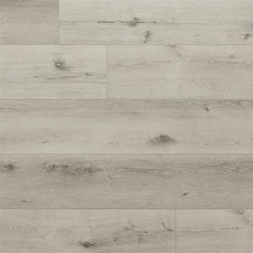 Oregon White Oak