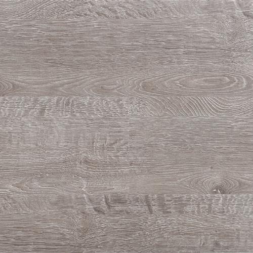 Cabana Collection Sand Dollar