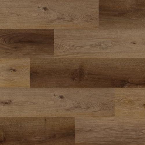 Scotch Oak
