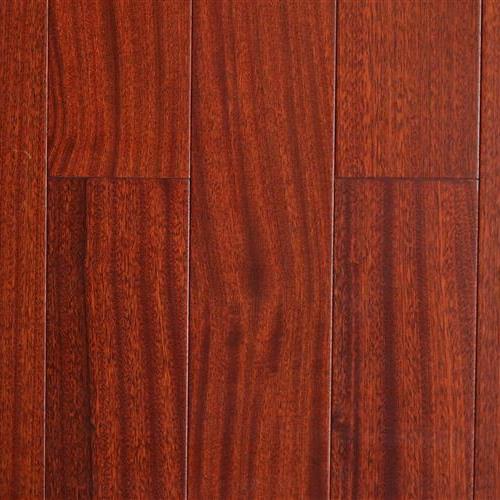 Africa Mahogany
