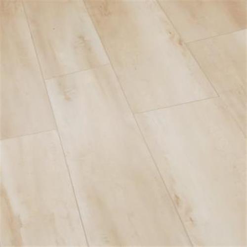 Carolina Maple