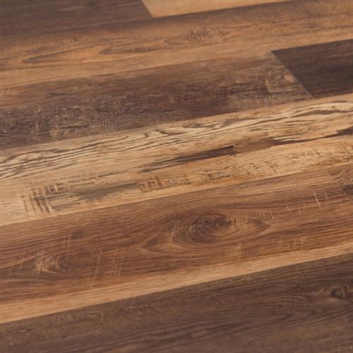 Cali Vinyl Plus Redefined Pine, Cali Vinyl Plus Vinyl Plank Flooring