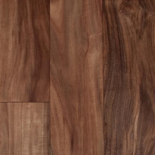 Exotics by The Garrison Collection - Acacia Natural 7.5"