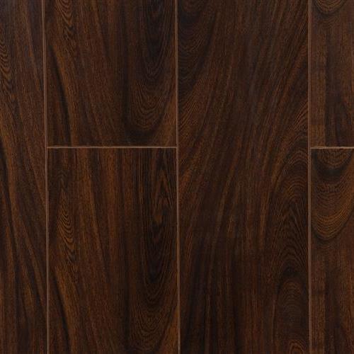 Sienna Cypress