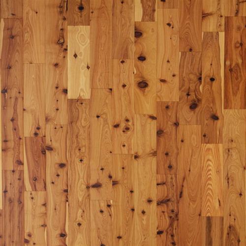 Ua Floors Patrician Austrailian Cypress Hardwood Pasadena Md