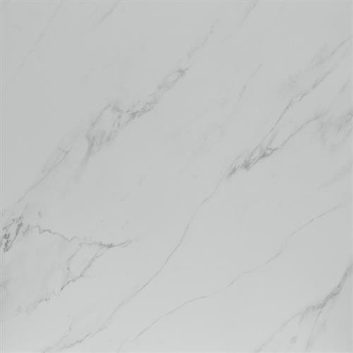 Terreni Collection Blanco - 20X20