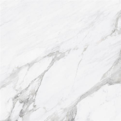 Statuary Collection White - 12X24 Unpolished