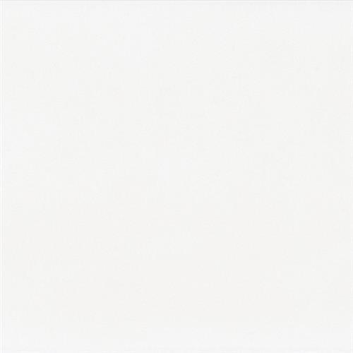 White - 3x6