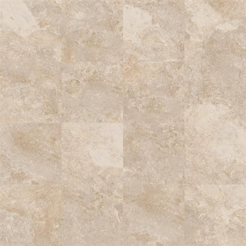 Revere Collection Nocce - 12X12