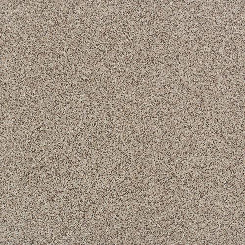 Dal Tile Porcealto Mandorla Con Spezia 1 8x8 Ceramic Porcelain