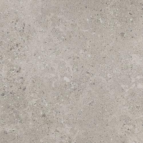 Dignitary by Dal-Tile - Superior Taupe 12X24