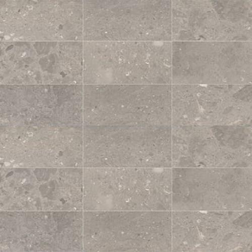 Center City by Dal-Tile - Arch Grey - 12X24 Honed