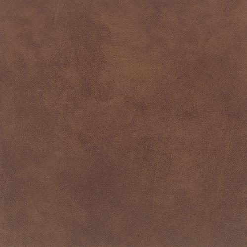 Veranda Solids in Rawhide 6.5x20 - Tile by Daltile