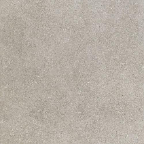 Haut Monde Elite Grey 12X24 HM05