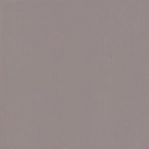 Semi Gloss in Suede Gray (2) 6x6 - Tile by Daltile