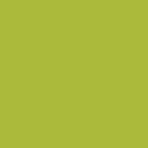 Kiwi (1) 4x8