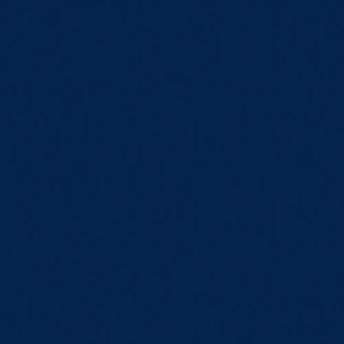 Blueberry (2) 3x3
