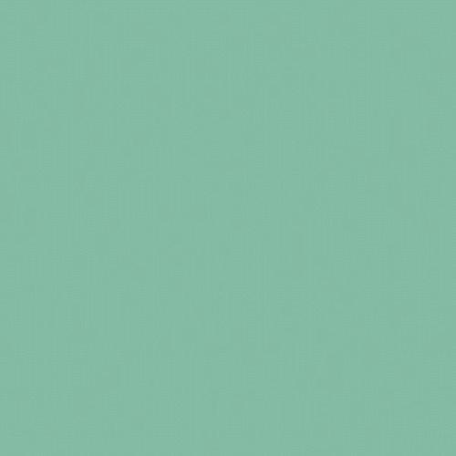 Mint (2) 4x8