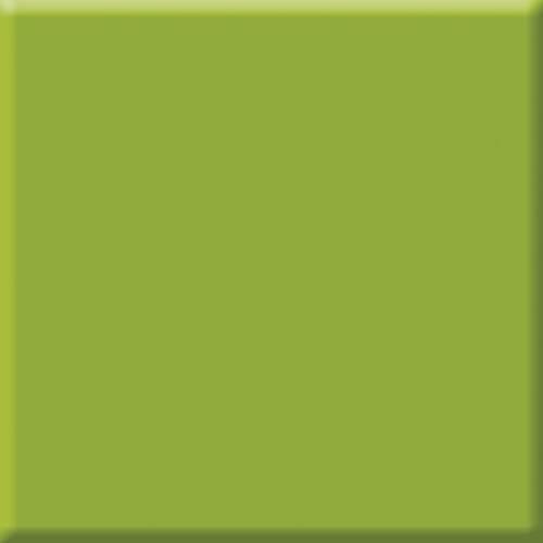 Fern (2) 2x8