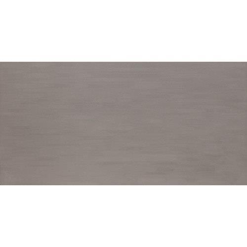 Axiom Silver 12x24