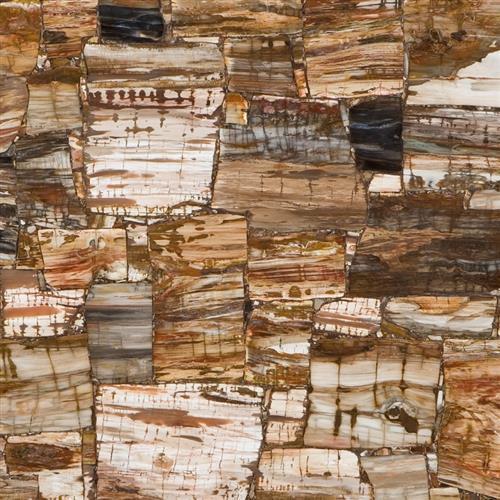 Concetto by Ceasarstone - Legno - Polished .75"