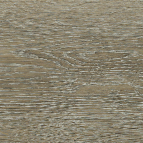 Shoreline Oak