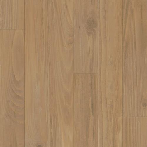 Maple