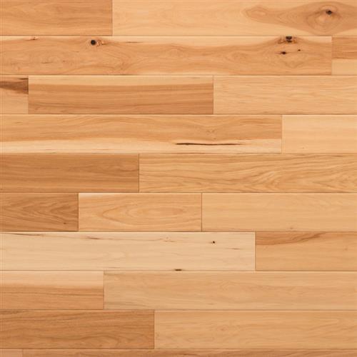 Hickory Natural