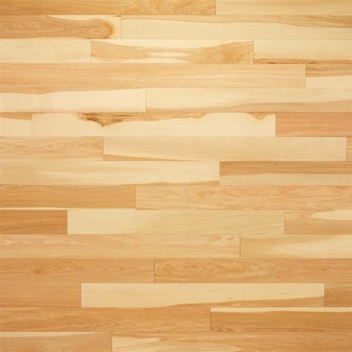 Kentwood Progressives Collection Yellow Birch Natural Hardwood