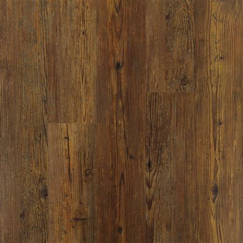 Extreme Cork Plus by Happy Feet International - Reclaimed Pine