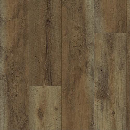 European Oak