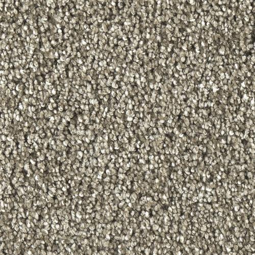Marquis Industries Naturally Soft Mystic Taupe Carpet Lubbock