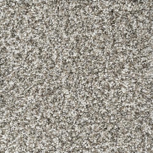 Marquis Industries Naturally Yours Sheer Mist Carpet Grand Junction Colorado Carpetime