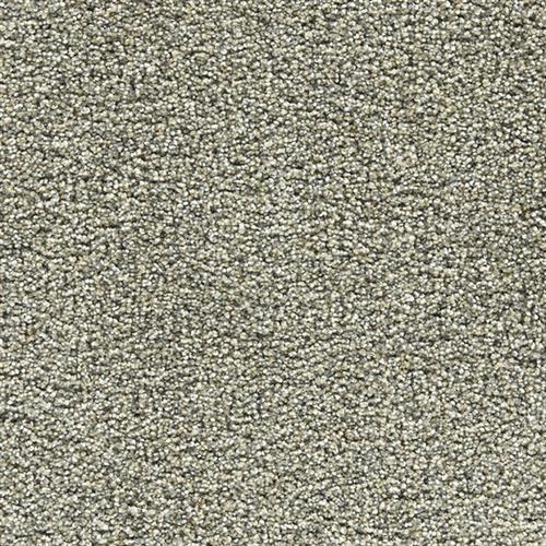 Marquis Industries World Class Wall Street Carpet Vancouver, WA