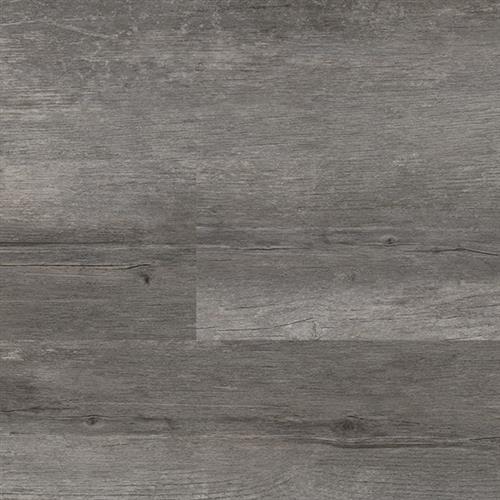 Fossil Wood